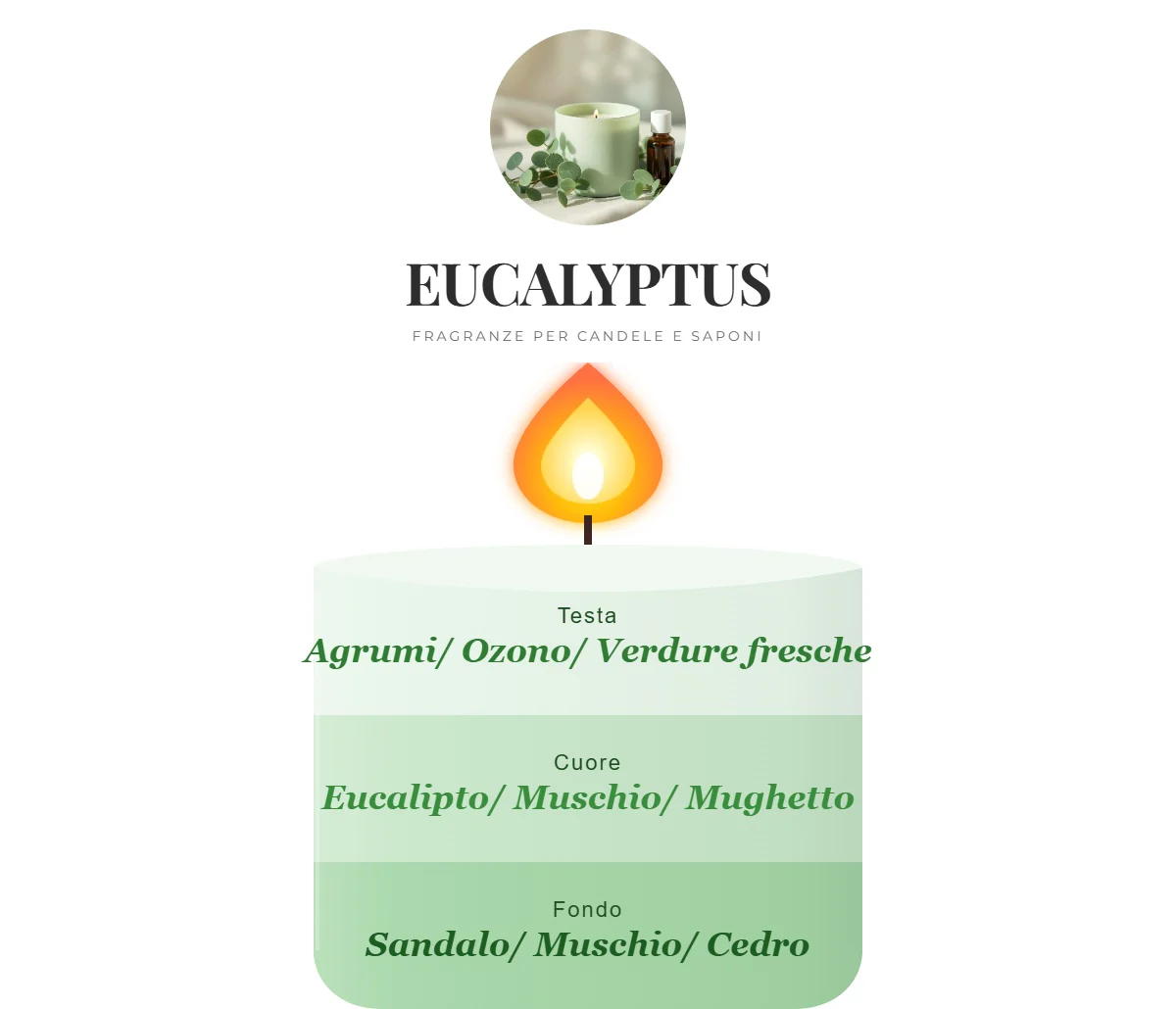 EUCALYPTUS - Image 2
