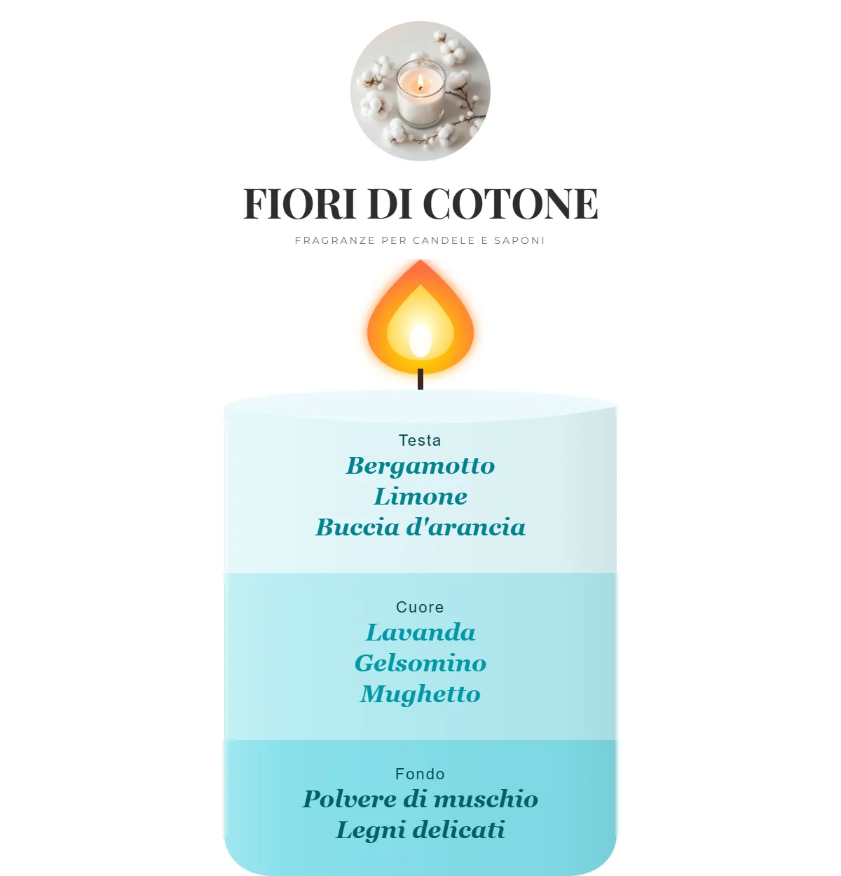 FIORI DI COTONE - Image 2