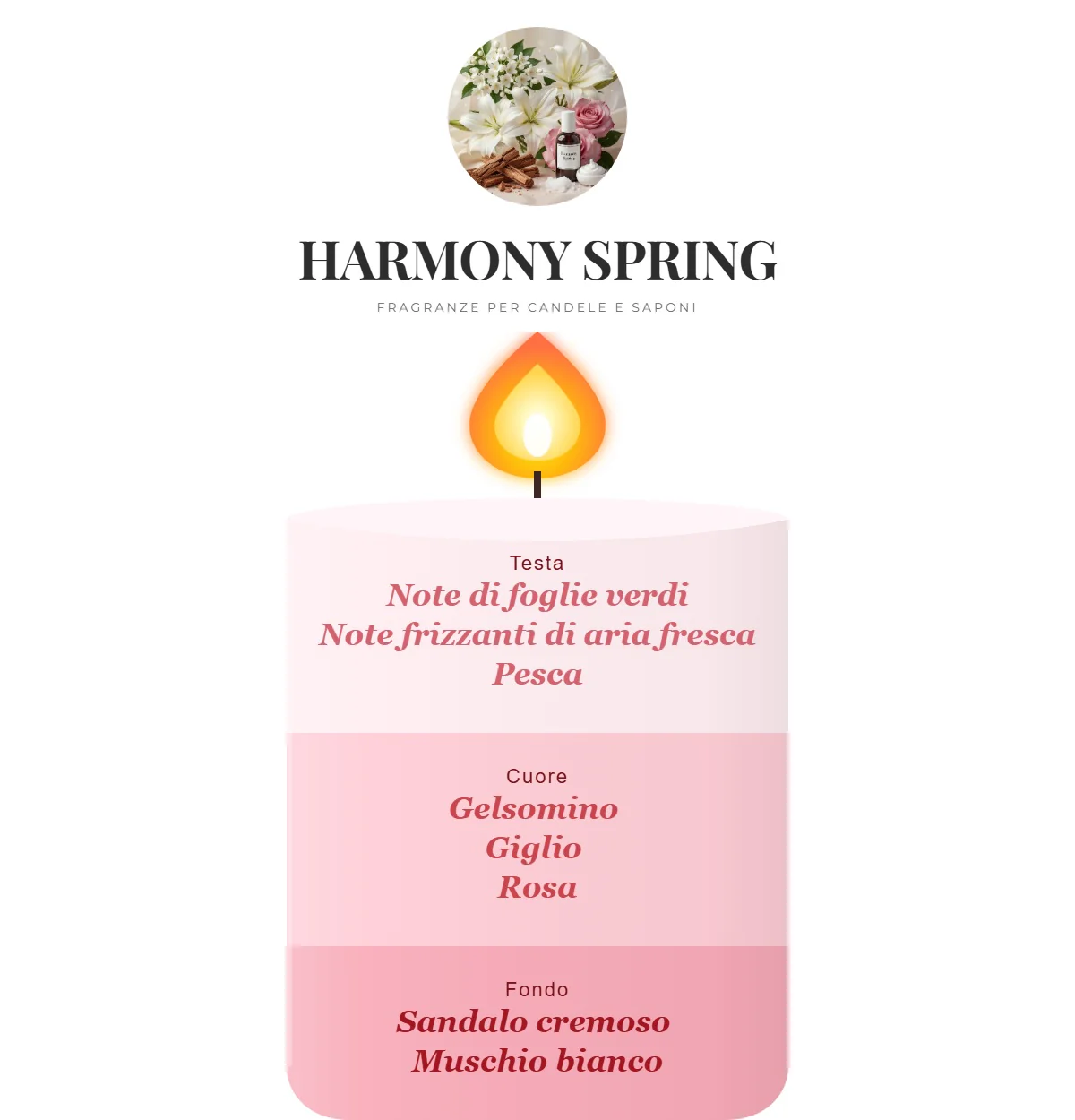 HARMONY SPRING - Image 2