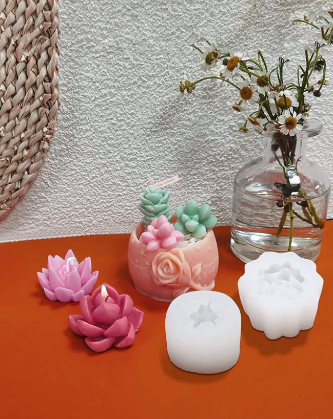 Stampo in Silicone Piantine grasse/Cactus Set 9 pz - Image 4
