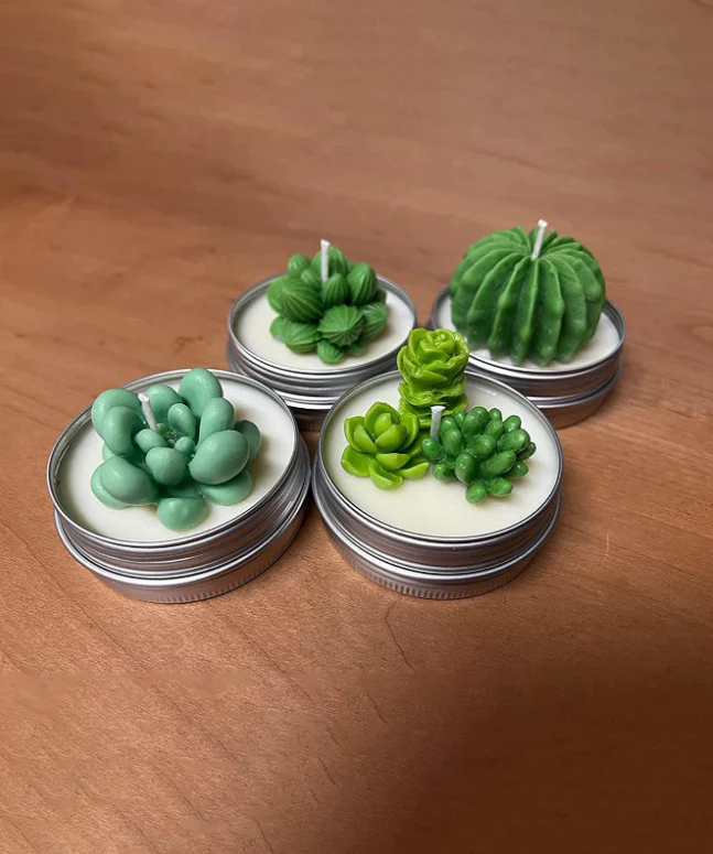 Stampo in Silicone Piantine grasse/Cactus Set 9 pz - Image 5